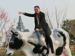 -荷兰花海