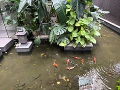 -绿房子方寸咖啡(星海名城店)