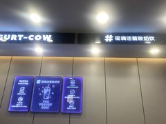 -一只酸奶牛(洪崖洞11楼店)