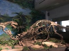 -自贡恐龙博物馆