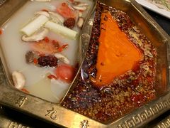 -蜀九香火锅(彩虹店)