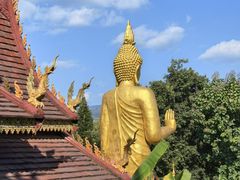 -西双版纳总佛寺