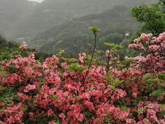 -木兰云雾山