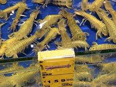 -三亚火车头万人海鲜广场