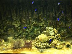 -北戴河圣蓝海洋公园