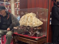 -燕春楼(海河华鼎店)