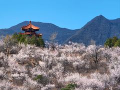 -白水寺森林公园