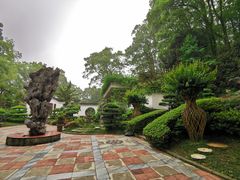-南山植物园