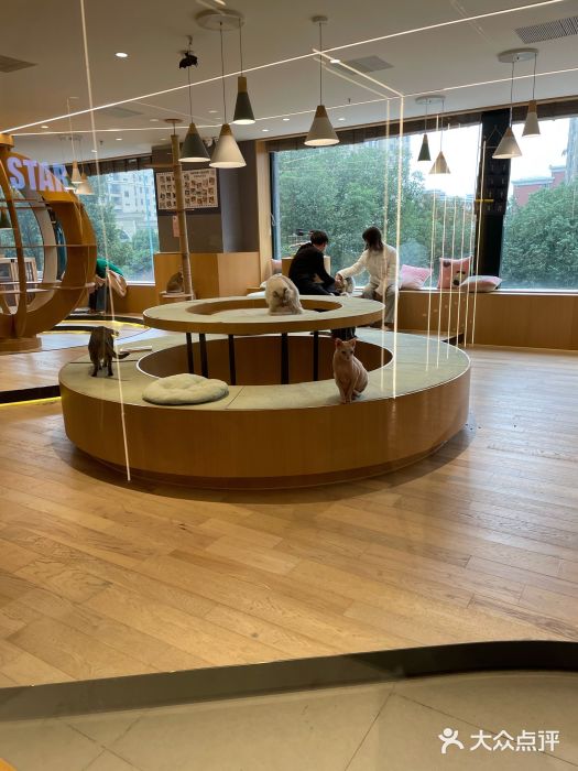 CAT’S MEWSTAR CAFE·喵星球猫屋(晴湾咖啡店)图片