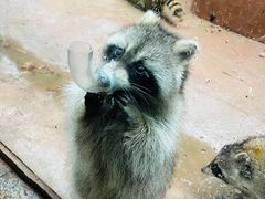 -杭州野生动物世界