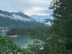 -广州市流溪河国家森林公园