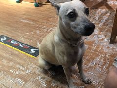 -阿飞冲浪旅店一馆