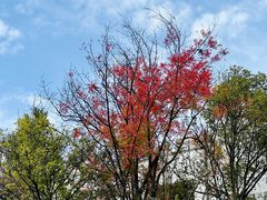 -滇池海埂公园