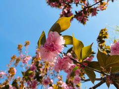 -雕刻时光咖啡馆(南院门店)