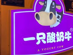 -一只酸奶牛(八一路店)