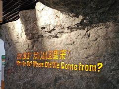 -国家自然博物馆