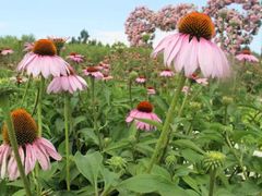 -新疆天山野生动物园