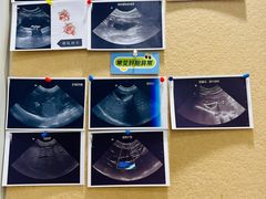 -东莞宠友24H宠物中心医院·转诊夜诊·异宠(新河北路院)