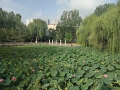 -满都海公园