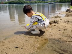 -天鹅湖体育公园
