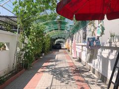-大海别墅民宿农家院(十渡店)
