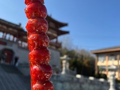 -西安青龙寺遗址景区