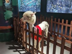 -常州海昌海洋探索馆