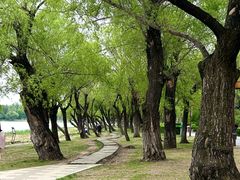 -长春市南湖公园