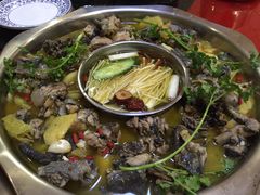 -黑河坝泡姜鸡贡椒鱼(贾旗路店)