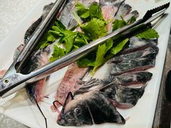 -蜀滋香鲜鱼美蛙火锅(339店)