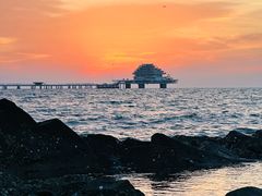 -烟台海昌鲸鲨海洋公园