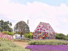 -紫颐香薰山谷景区