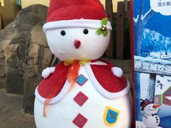 -七彩云南欢乐世界