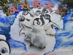 -海合安成都极地海洋公园