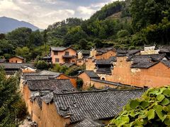 -杨家堂村