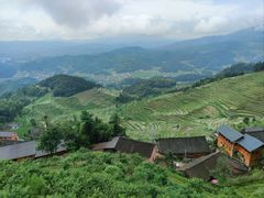 -紫鹊界梯田景区
