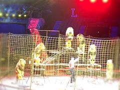 -珠海横琴长隆《卡卡虎奇遇记》