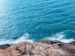 -广东惠东海龟国家级自然保护区