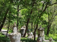 -北京上方山国家森林公园