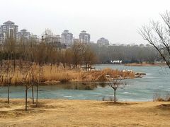 -马家湾湿地公园