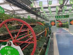 -兰陵国家农业公园