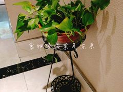 -蓉府金足印象(草市街22分店)