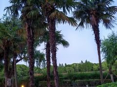 -上海市保健医疗中心