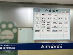 -申普宠物医院·心脏介入·心血管微创(总院)