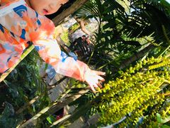 -Chom Cafe and Restaurant