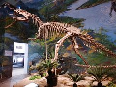 -自贡恐龙博物馆