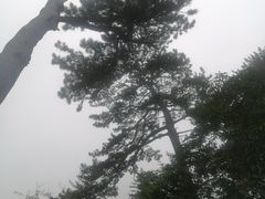 -妙峰山风景名胜区
