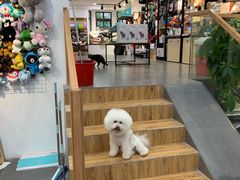 -宠小格时尚宠物生活馆(唐镇店)