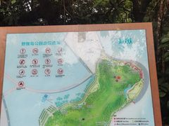 -野狸岛
