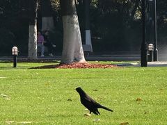 -常州古运河南大街文化旅游区-人民公园